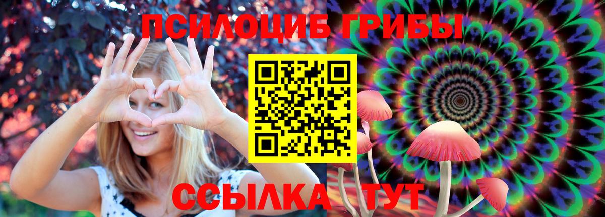 Галлюциногенные грибы ЛСД Балахна